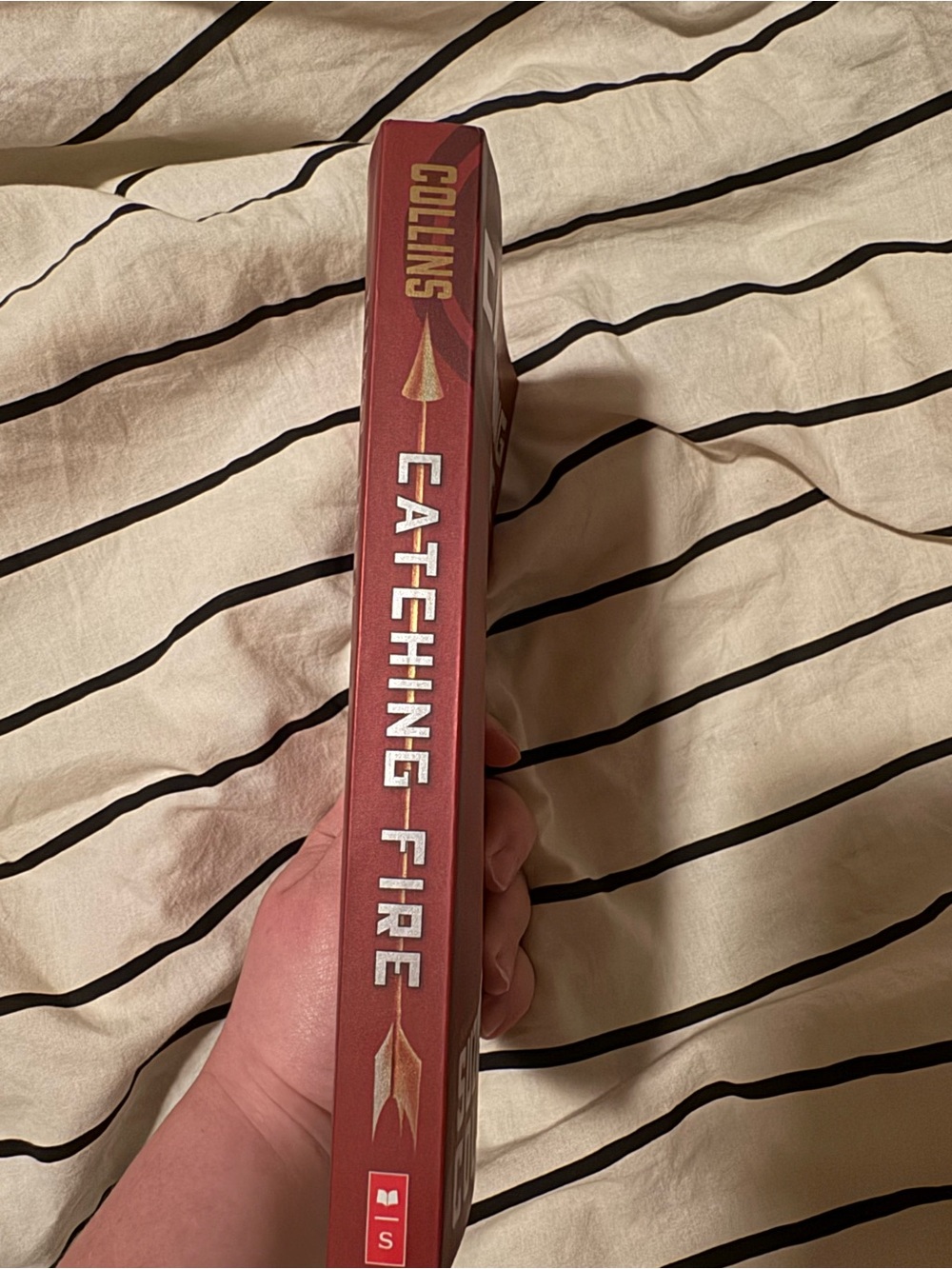 Catching Fire - Picture 3 of 3
